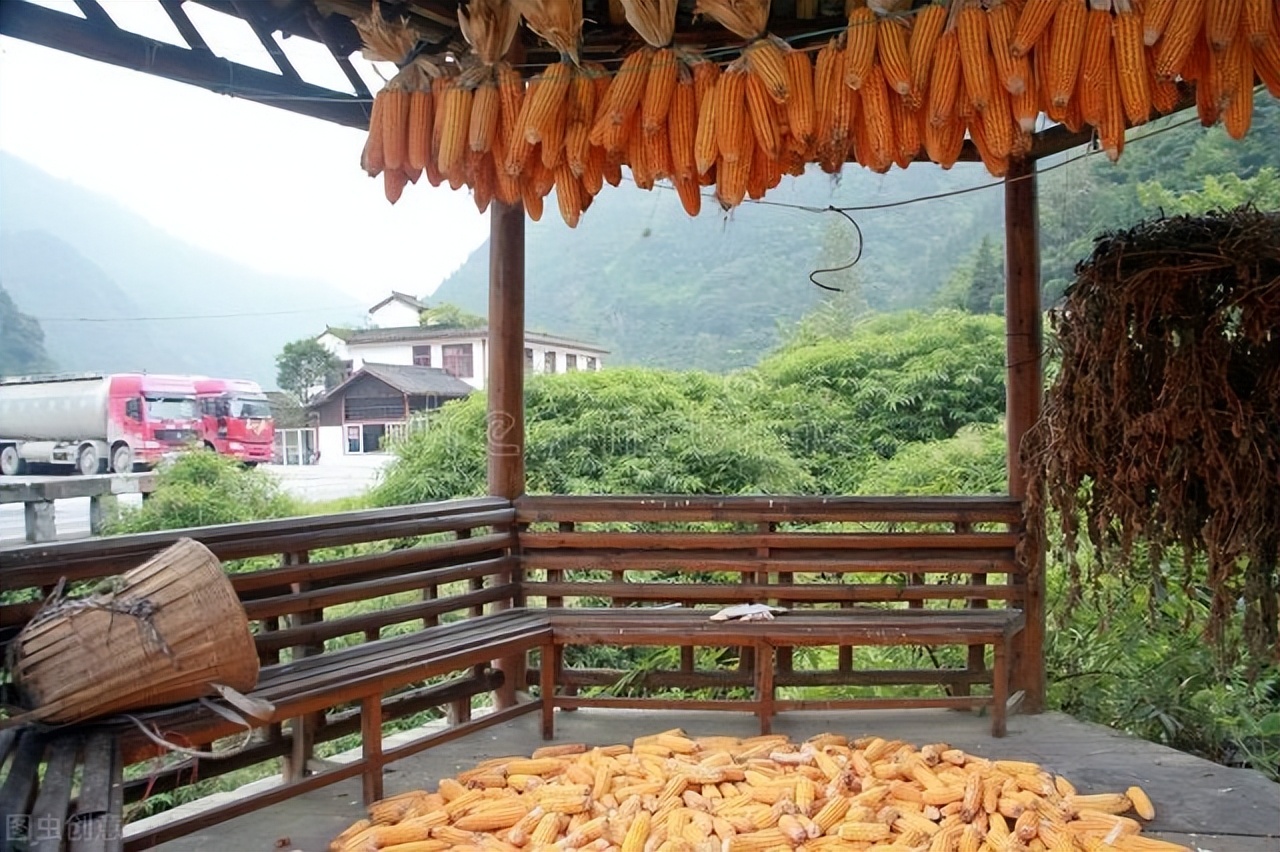 东北话常用的词语,东北话中形容气味的词语