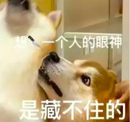 简单赚钱方法17种软件,最实用的赚钱助手