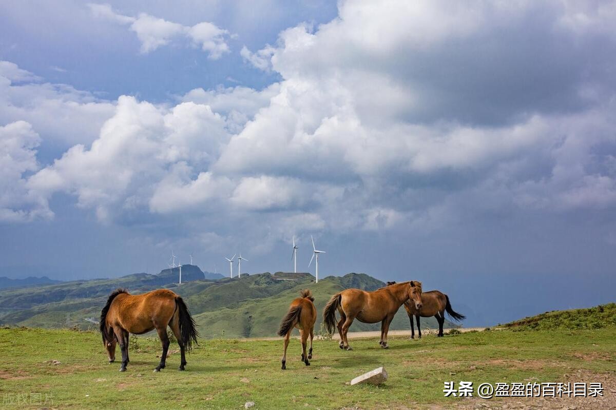 推荐几个适合夏季游玩的景点,10大避暑胜地推荐