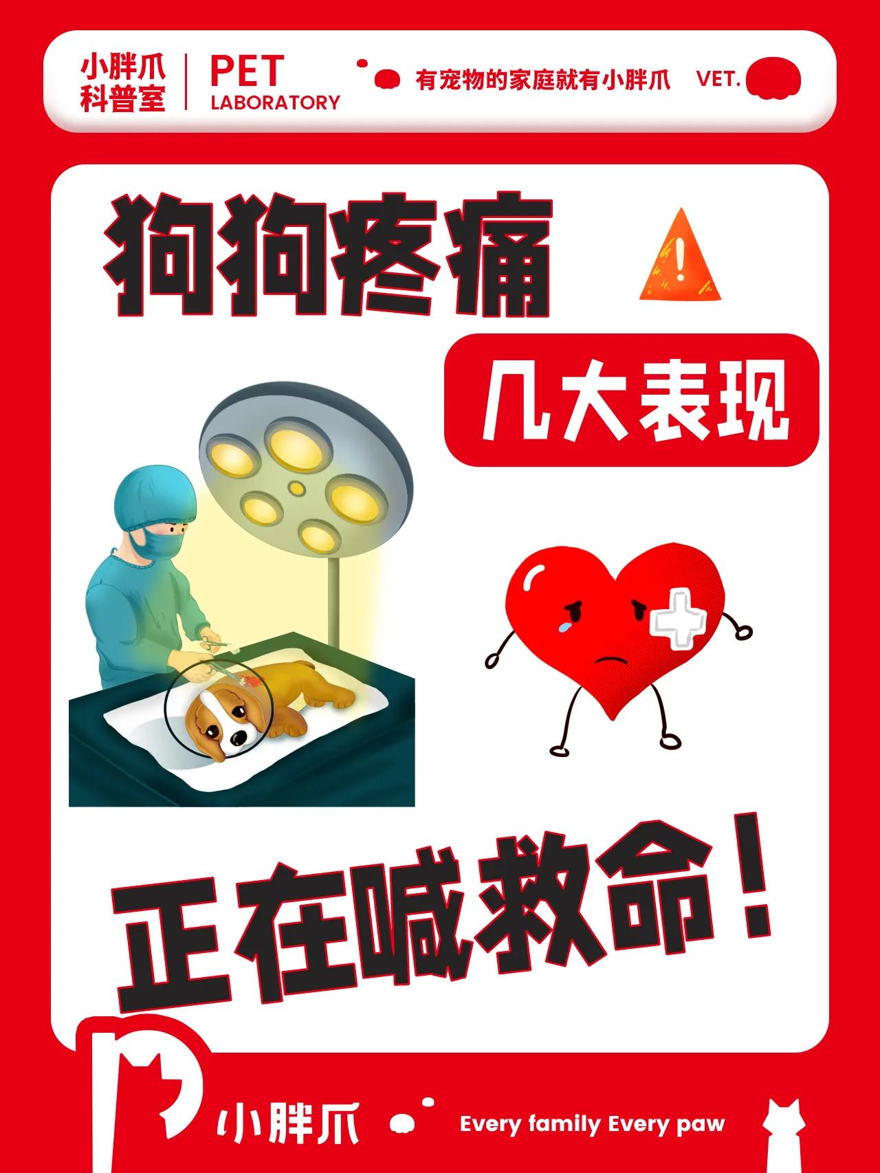 狗狗身体疼痛一直抽搐怎么办,狗狗在忍受疼痛有什么表现