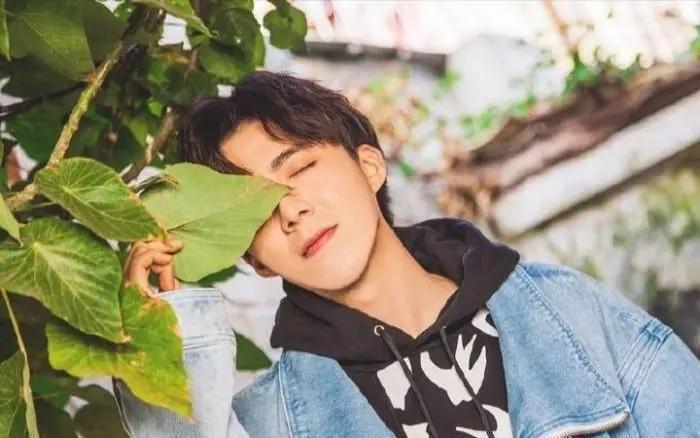 结婚后粉丝会少不,为啥结婚后粉丝骤减