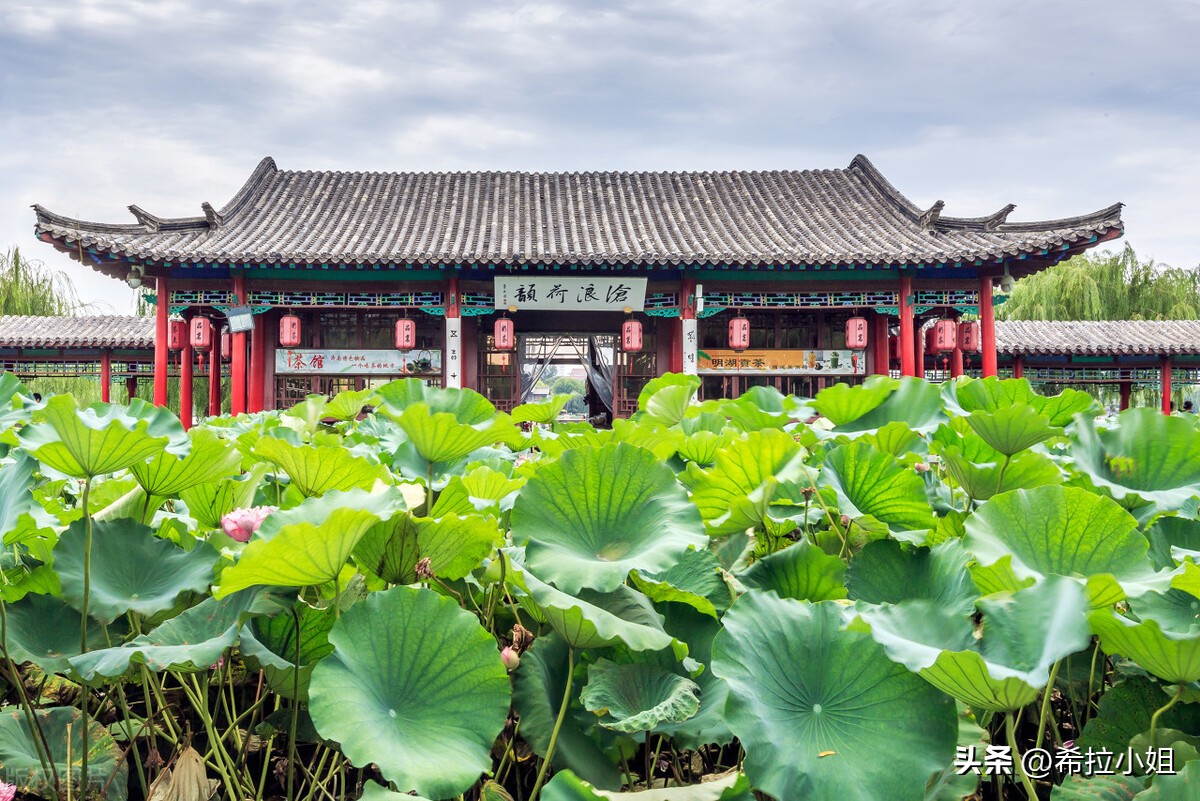 苏州旅游攻略最值得一去的景点,苏州最值得去的景点旅游攻略