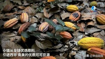 宇宙中心曹县,曹县宇宙中心是怎么来的