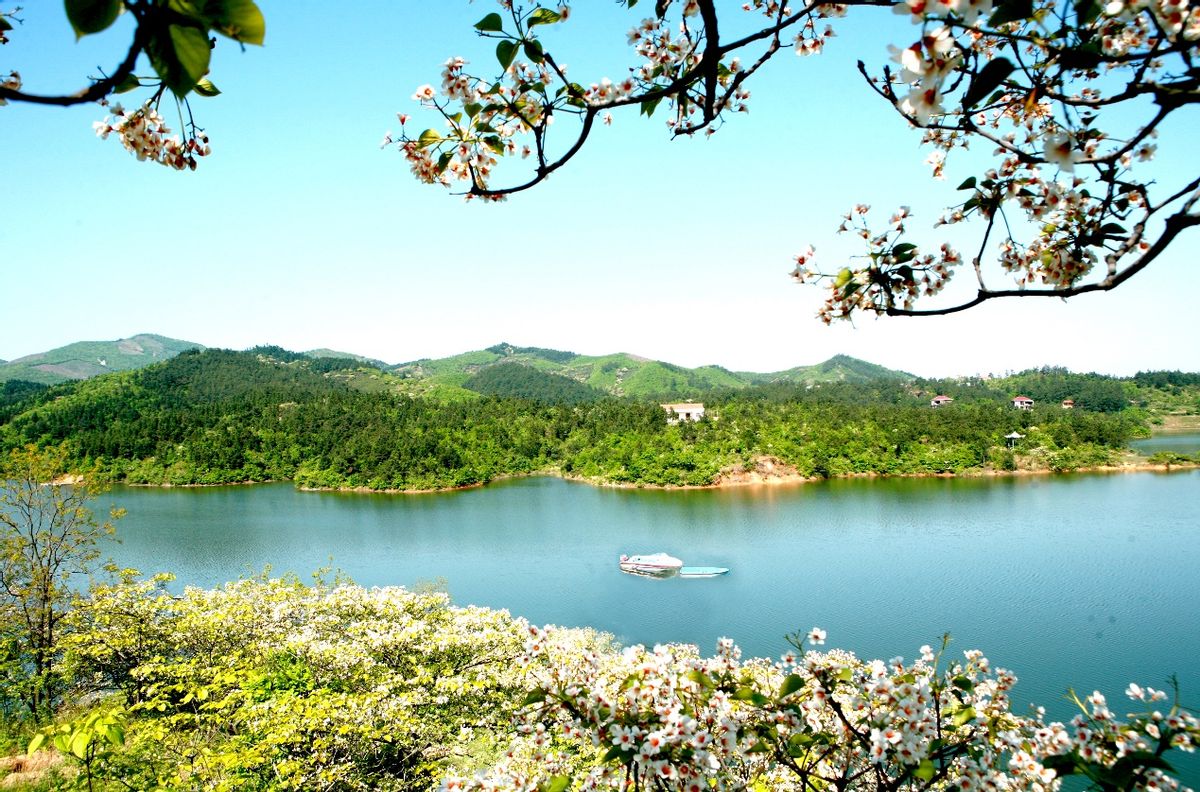 九华山三大特色,九华山有什么美丽景色