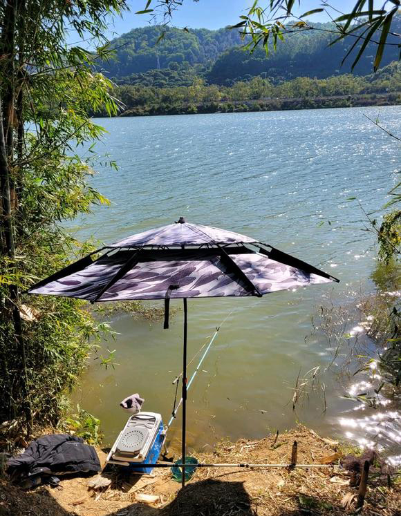 钓鱼细节决定鱼获,摸清鱼情是钓鱼最大的技巧