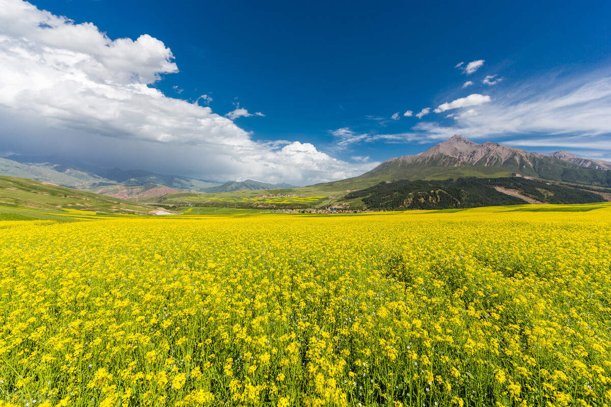 当别人不理你会怎么办,当别人不理你时要学会自己走开