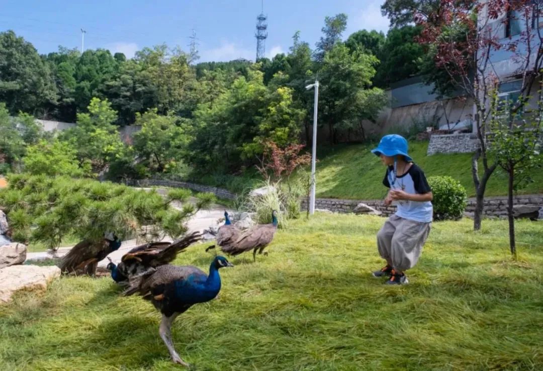 济南遛娃嗨玩这里享优惠,济南遛娃乐园周末