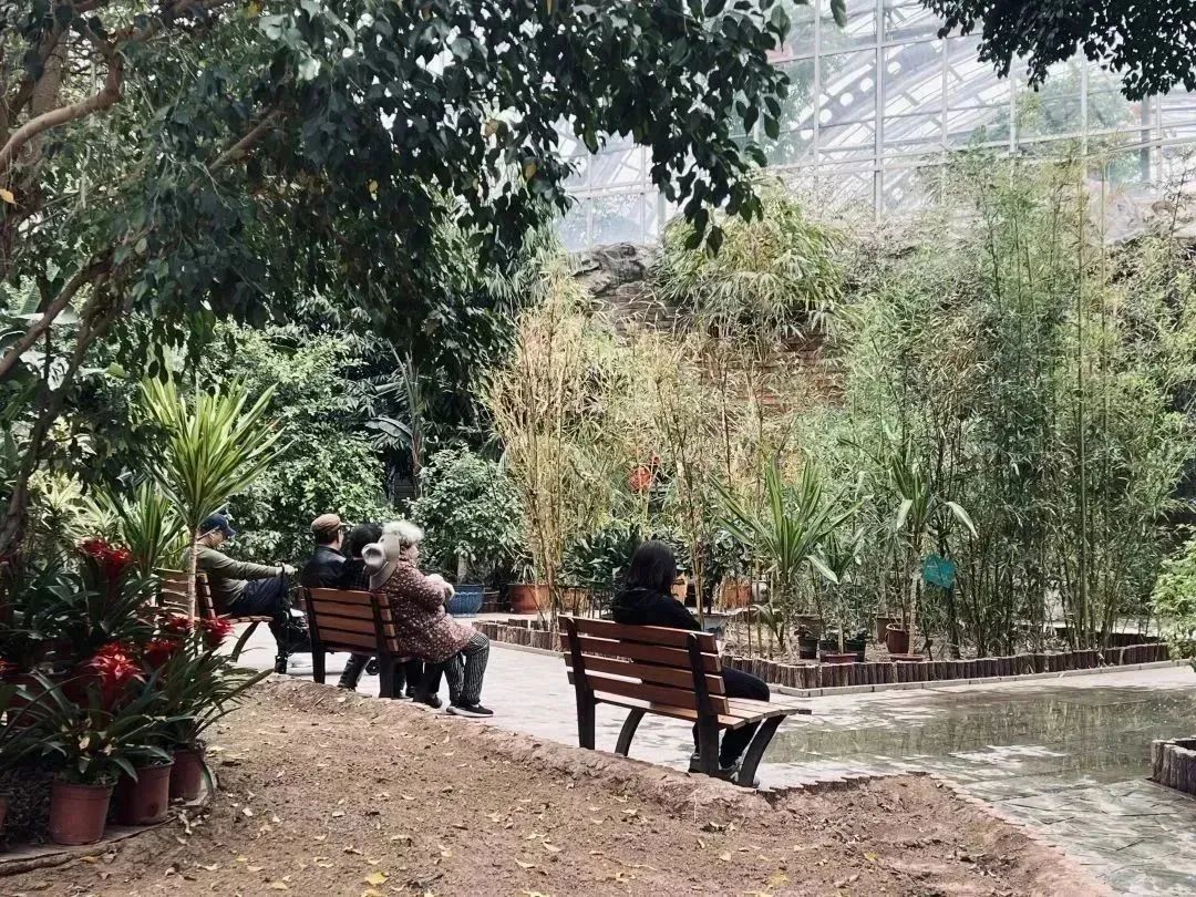 天津房车公园露营基地,一张天幕露营