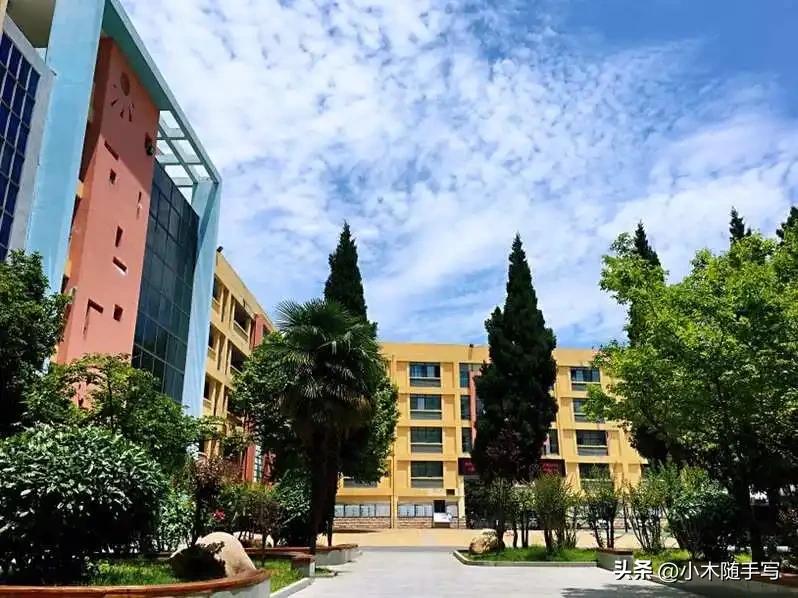 2024年合肥五十中可以择校吗,合肥50中天鹅湖校区2022中考人数