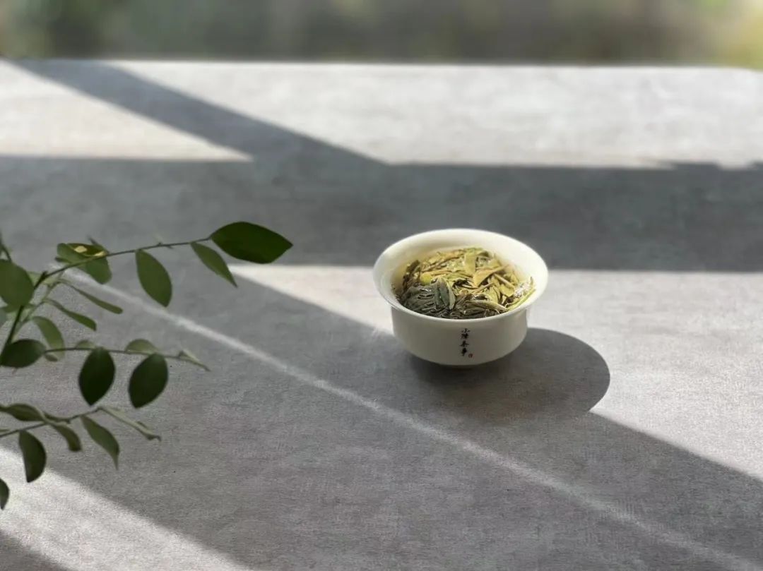 6大茶桌暗语介绍，何为回甘？何为醇厚？何为生津，一次说清