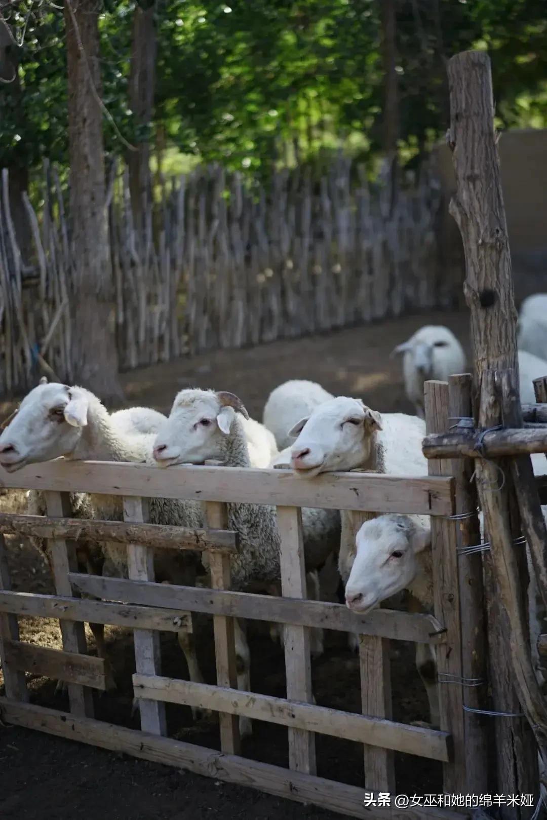 探索中卫／不止是旅行，也是生活
