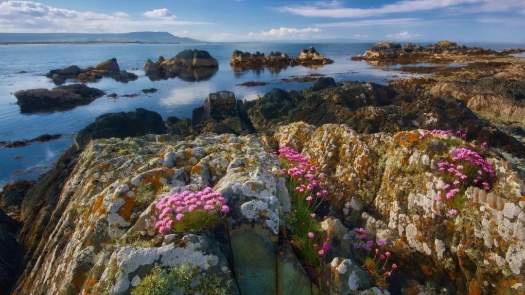 好文分享音乐,好文分享值得一读