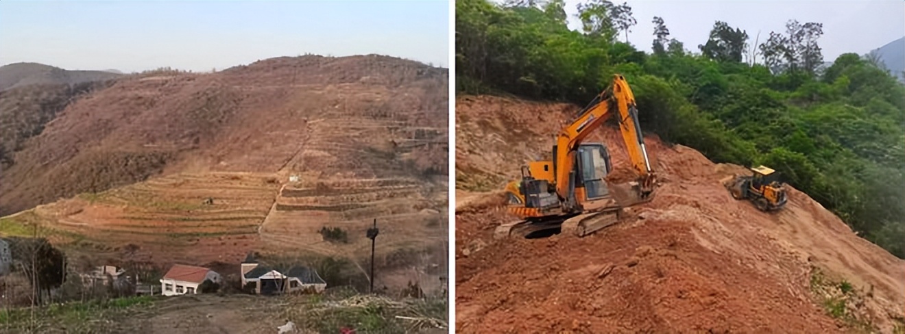 包地挣钱经历,农村创业包地5000亩一年赚多少钱