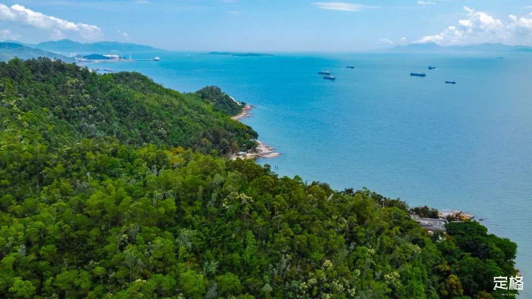 深圳周末带孩子免费游玩好去处,周末去哪玩推荐深圳