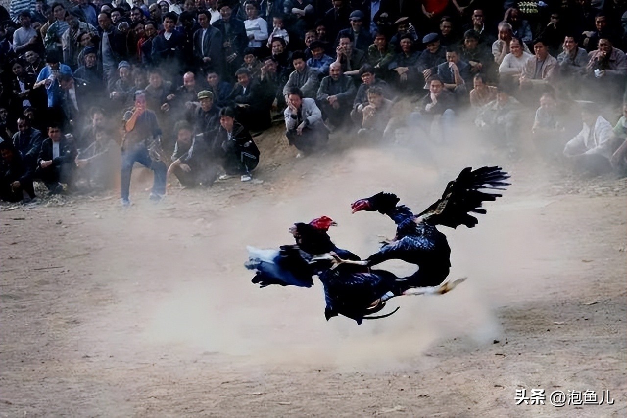 贵州发现的神奇洞穴,贵州最深山一处洞穴