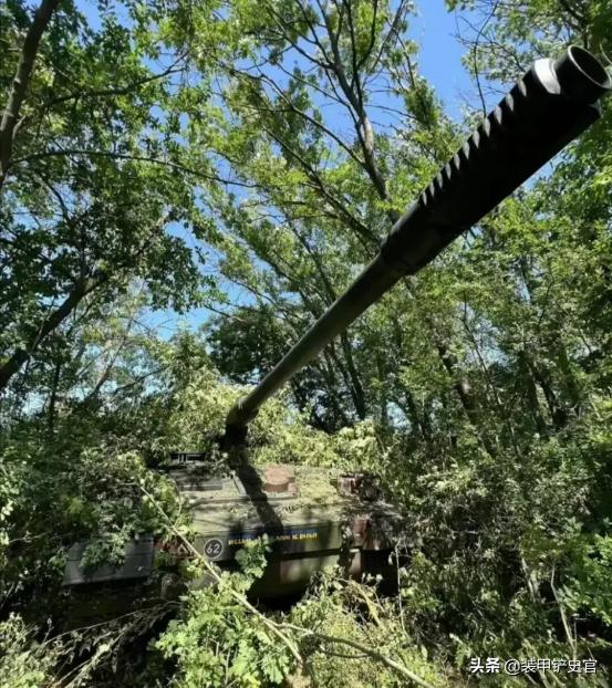 德国进口大口径火炮,德国火炮在俄乌战场