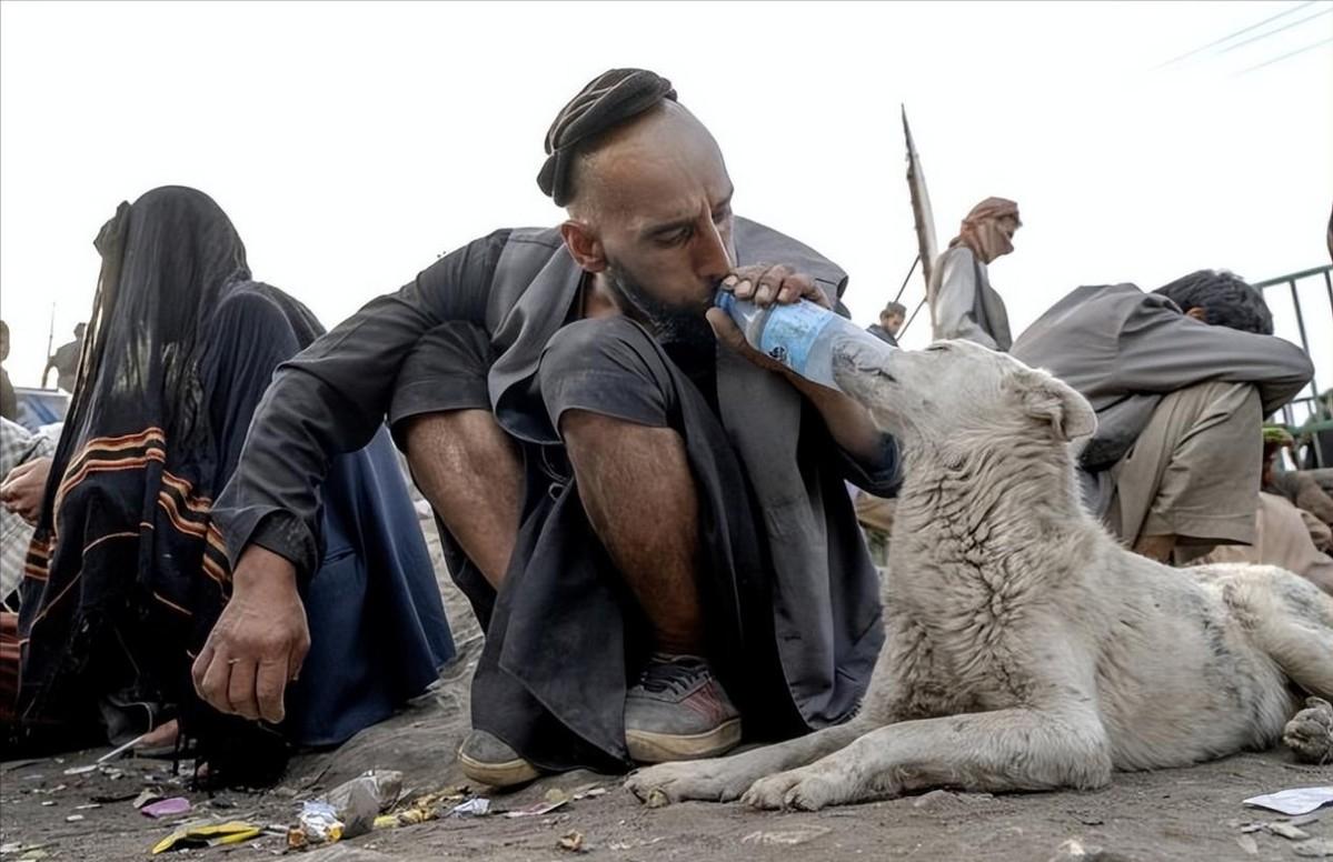 这个国家被称为“丧尸国度”?连狗都在吸毒,美军撤走后一片狼藉