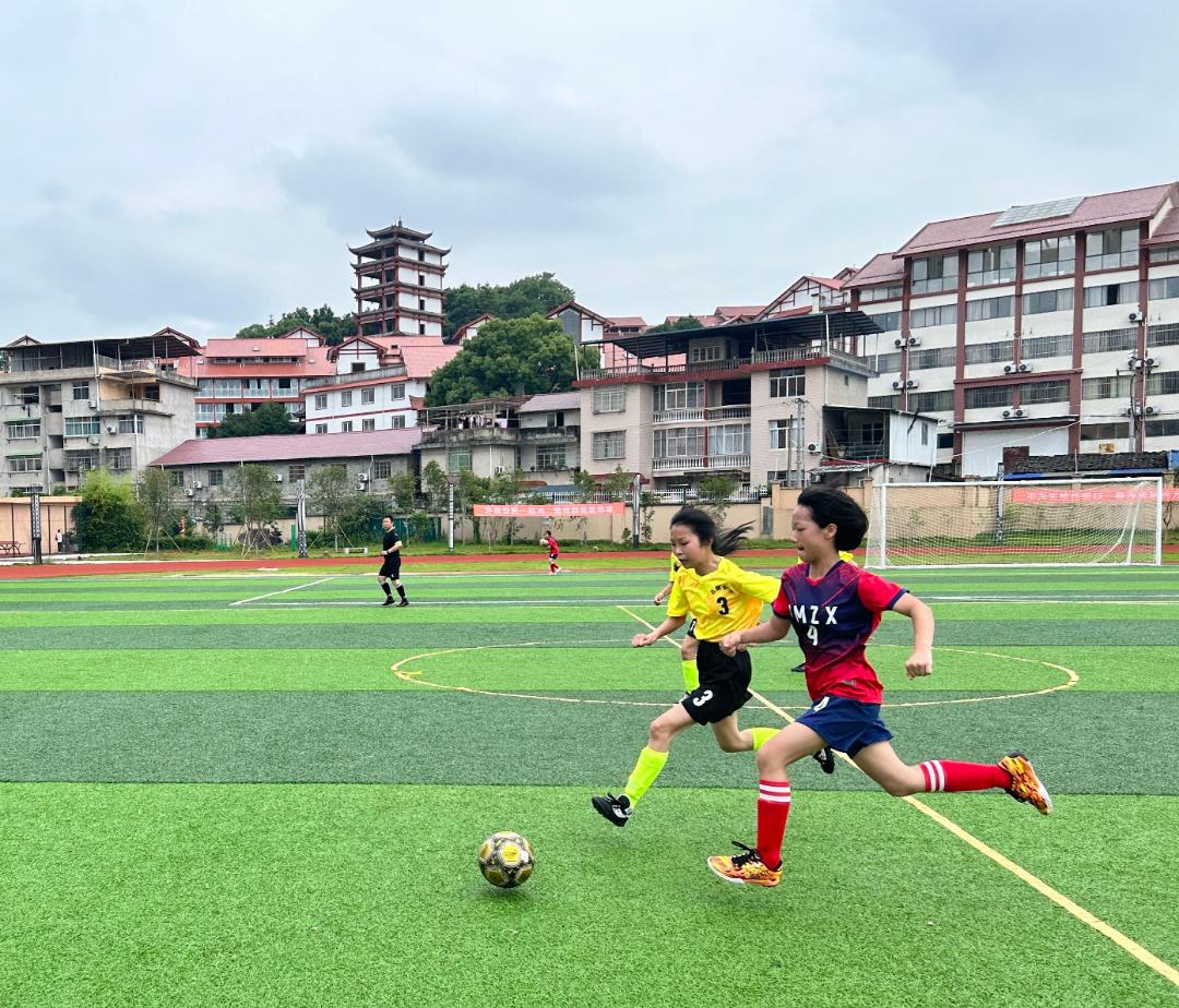 南平市派迪茵,派迪茵体育