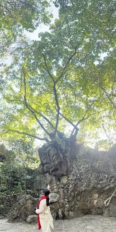 黄果树风景区一日游旅游攻略,黄果树旅游景区游览攻略