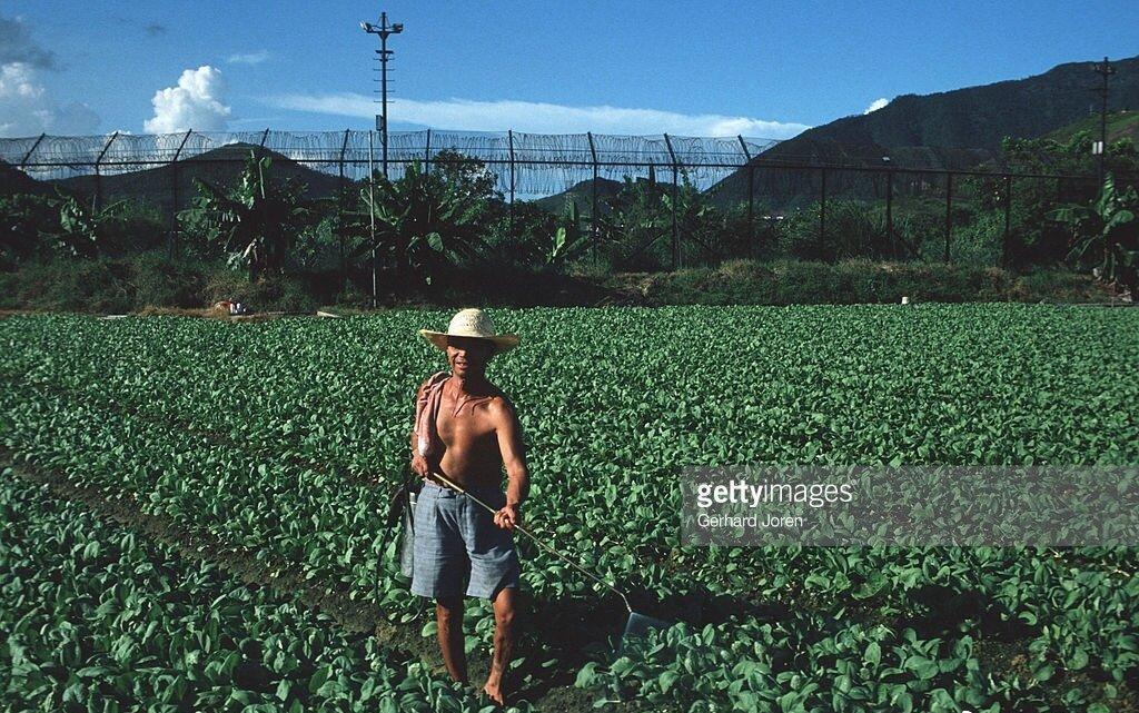 侵华日军*行暴**照片，日本人强迫女子脱下衣服，*辱侮**致死