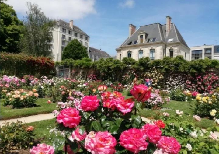 法国玫瑰花园,法国玫瑰花香沐浴露正品