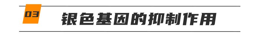 基因技术重大突破,基因科技的重大突破