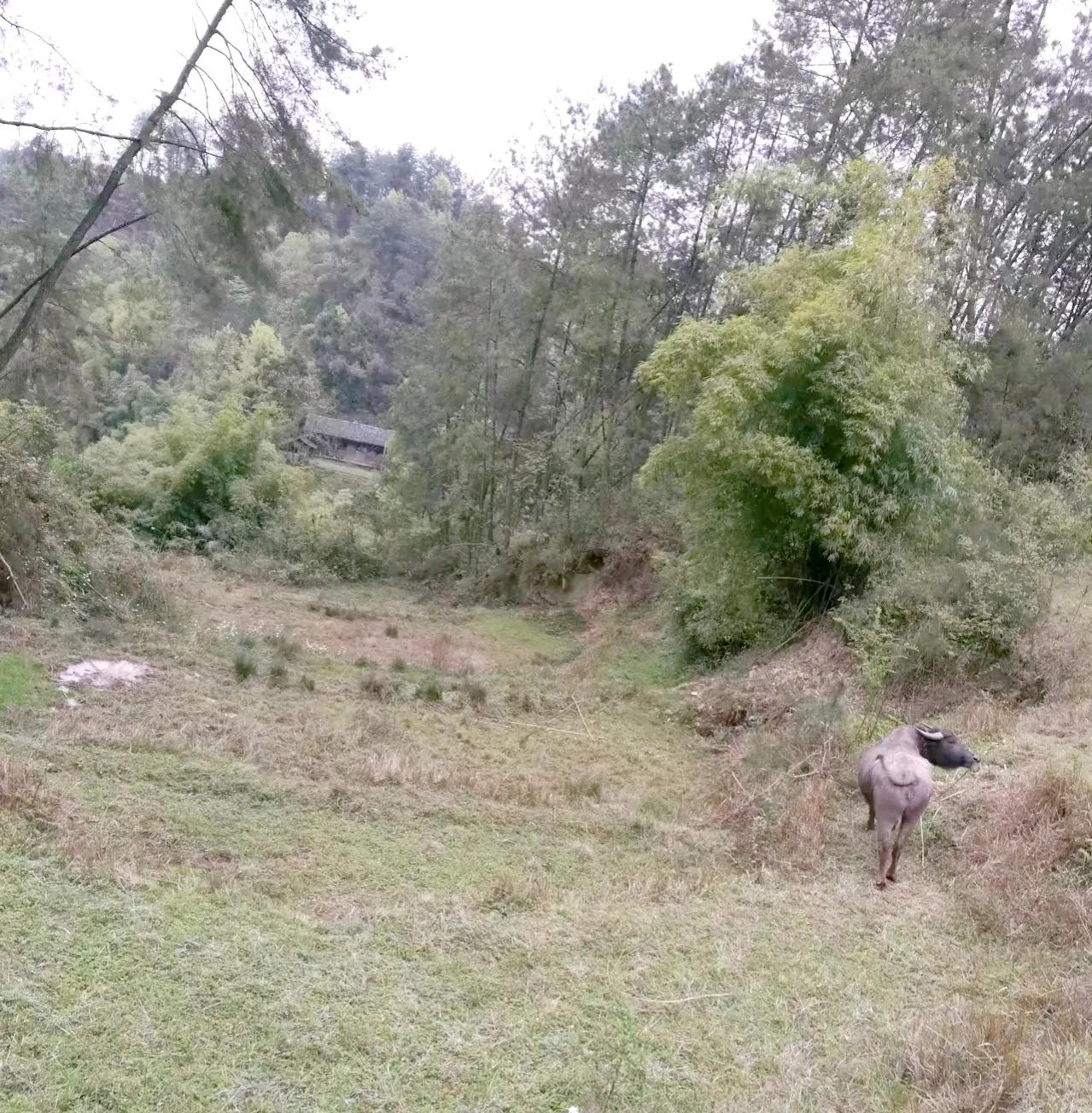 纪实农村通往城市的求学之路