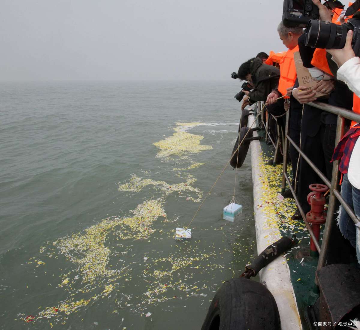 北京海葬在哪里报名,北京公益海葬流程及手续
