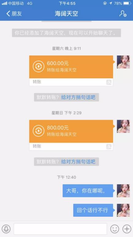 视频看猫价格,网络买宠物猫是否真实