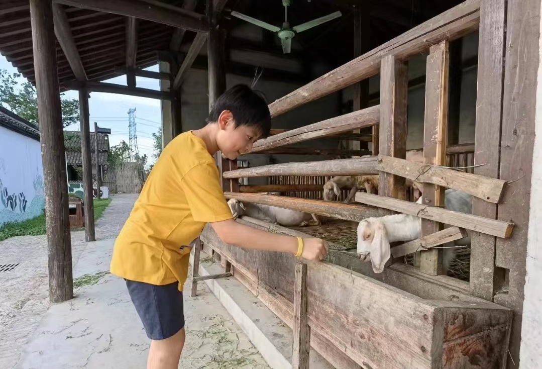 终于去了“中国本土版ClubMed”,乌村也太好玩了吧