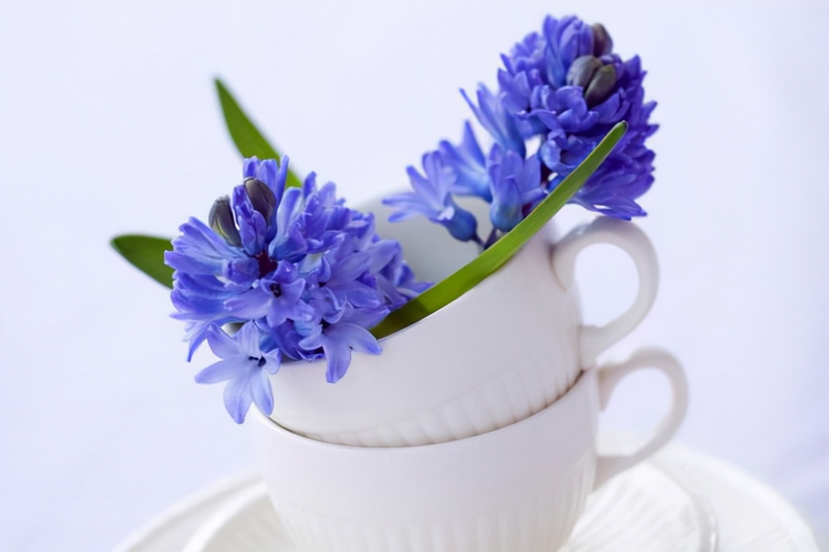 妻子背叛自己的婚姻该怎么办,婚姻中怀疑对方要不要找证据