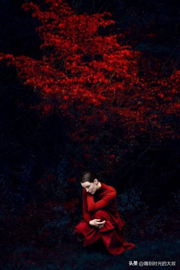 ai摄影师获奖,ai和摄影结合的摄影师