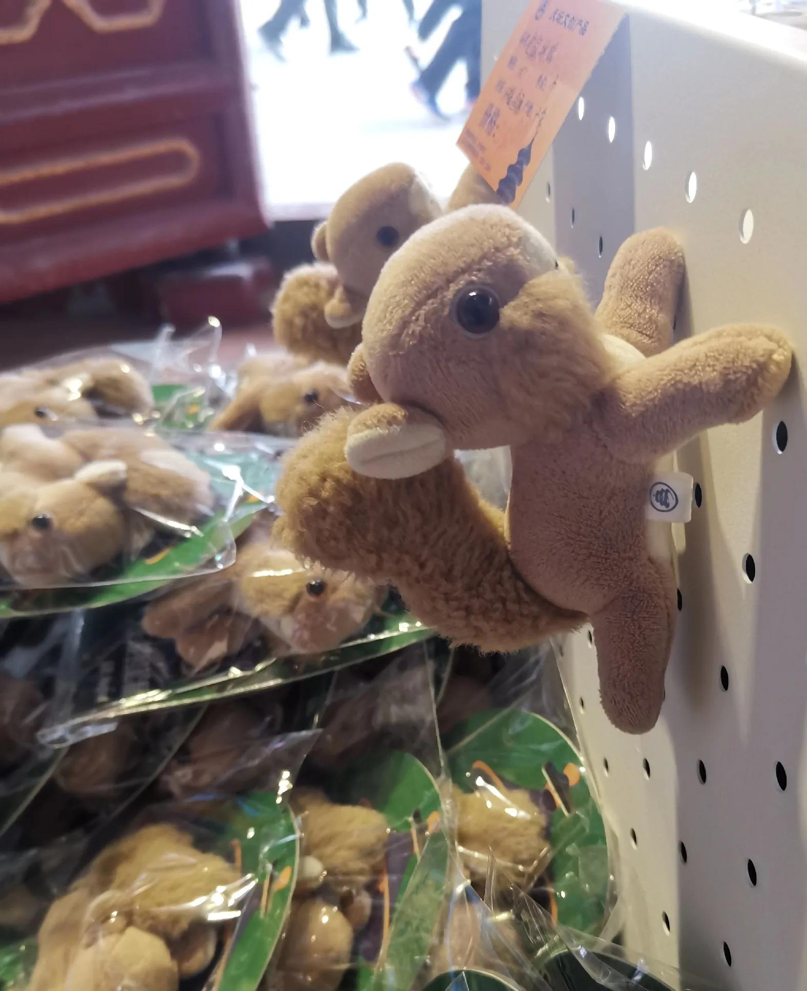 逛天坛需要多长时间,天坛游玩攻略及美食