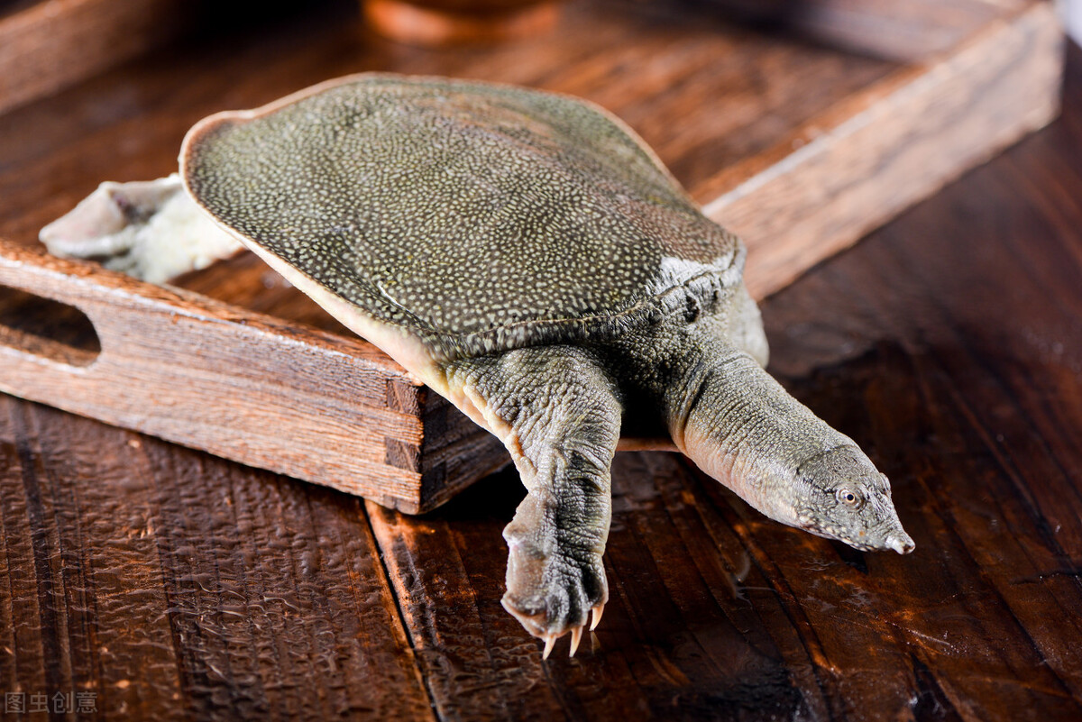 用诗记录生活的诗句,用诗词记录人生