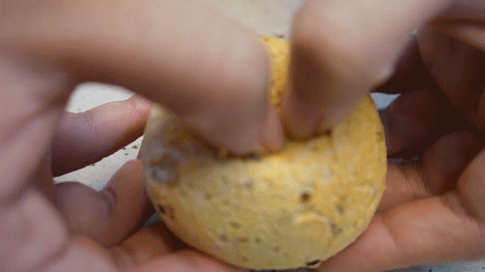 东芝微蒸烤和水波炉哪个好,东芝微蒸烤一体水波炉