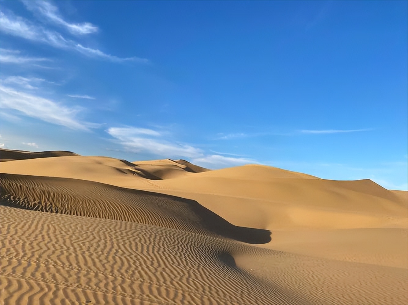 马爸爸没教会你的,这本书来教你:618如何《学会花钱》?