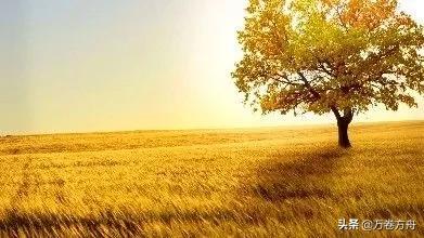 母亲走了如何走出悲伤,妈妈走了如何化解内心痛苦