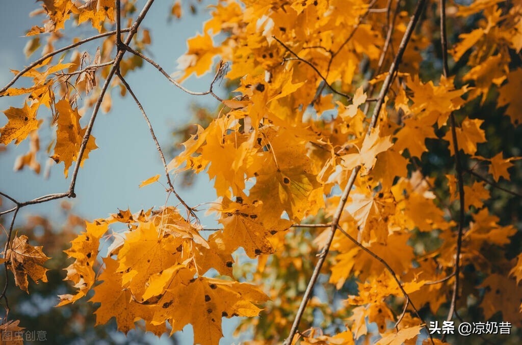 当你老眼昏花时,你能做些什么?六个选择,为你答疑解惑