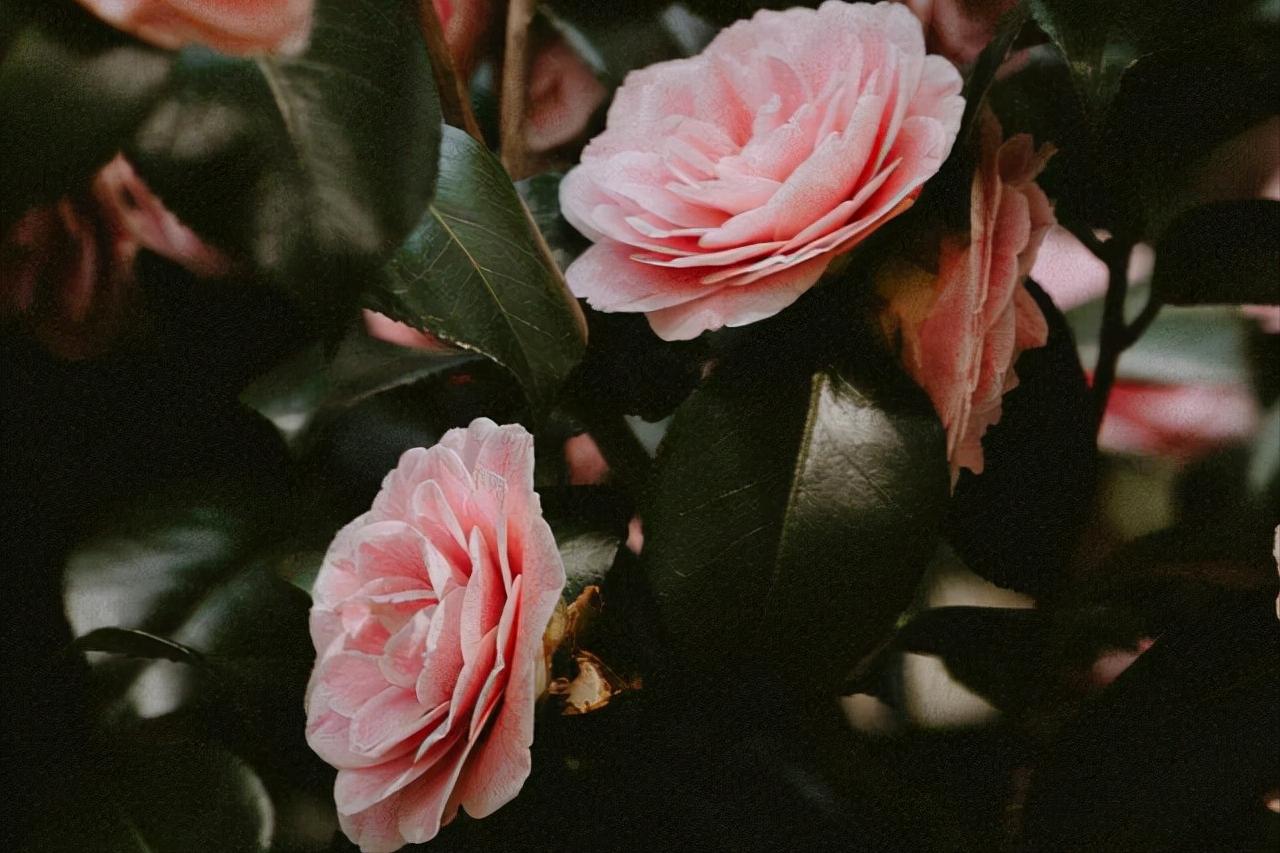 其实爱一个人的最好方式,其实爱一个人很简单完整版