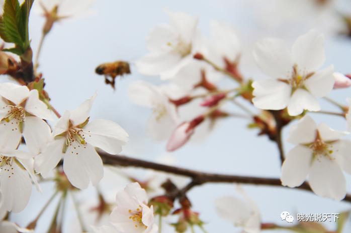 中日文化交流史导论,中日文化交流史视频