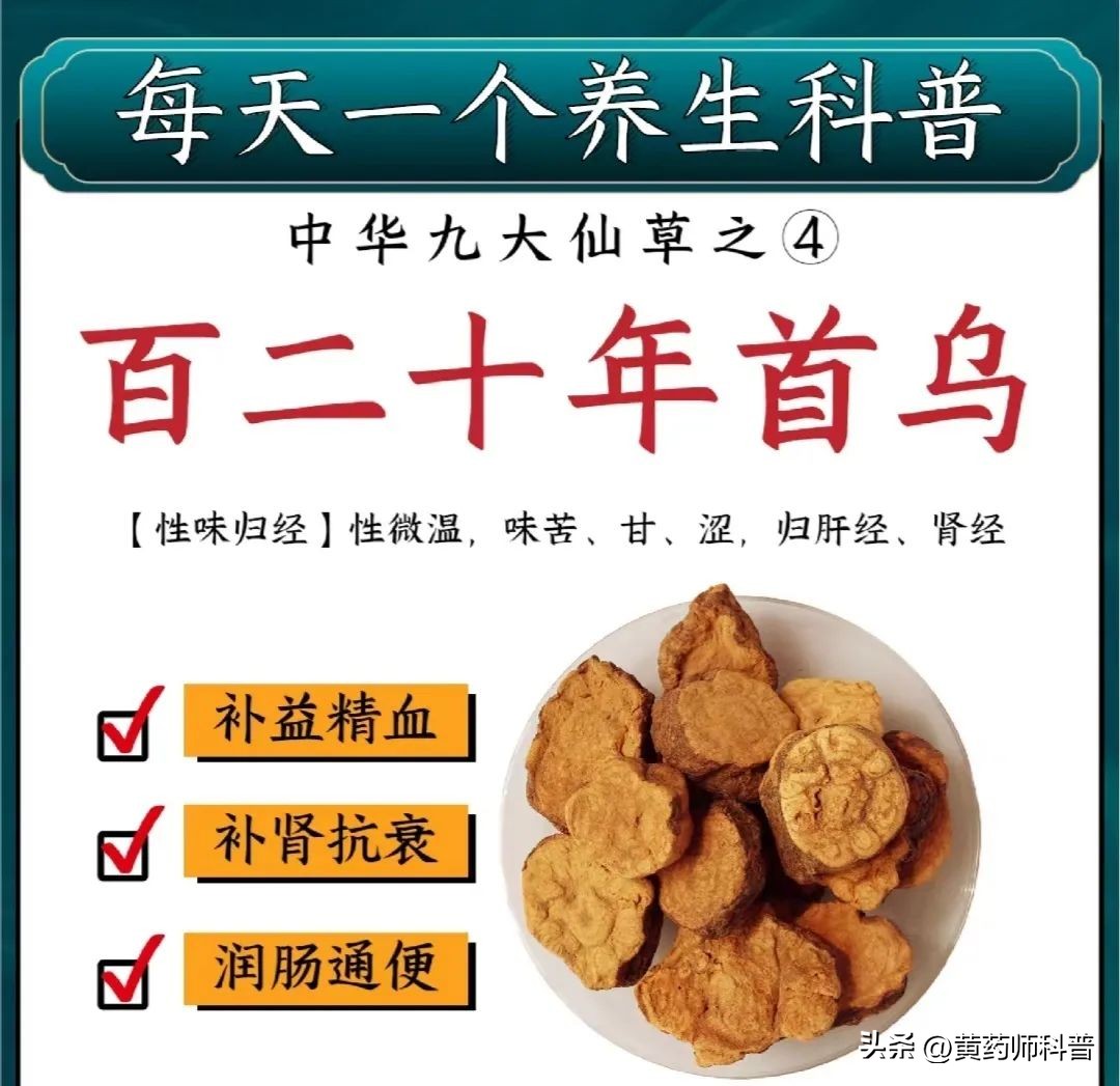 九大仙草哪个药用价值最高,中草药鬼针草的药用价值