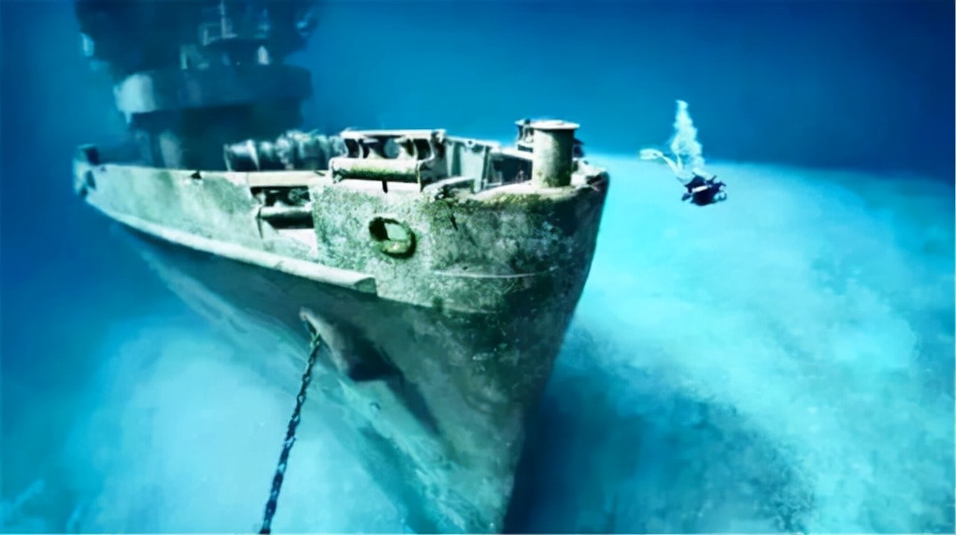 尼克松访华送给中国什么树,尼克松送给中国的礼物