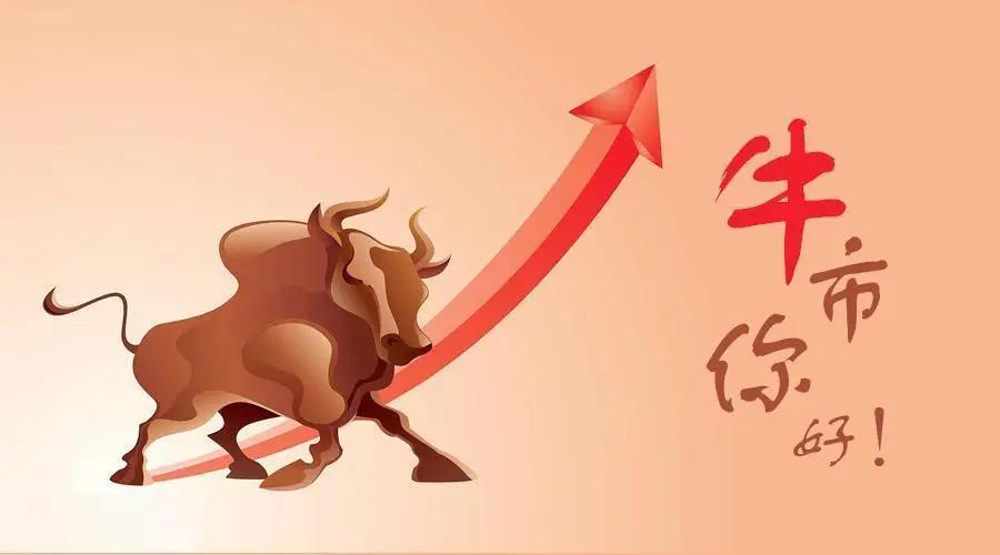 为什么打不了新股申购,新股申购和券商有关吗