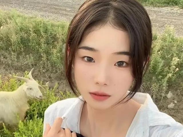 灰太狼的羊事件后还能火吗,灰太狼的羊事件侧面回应