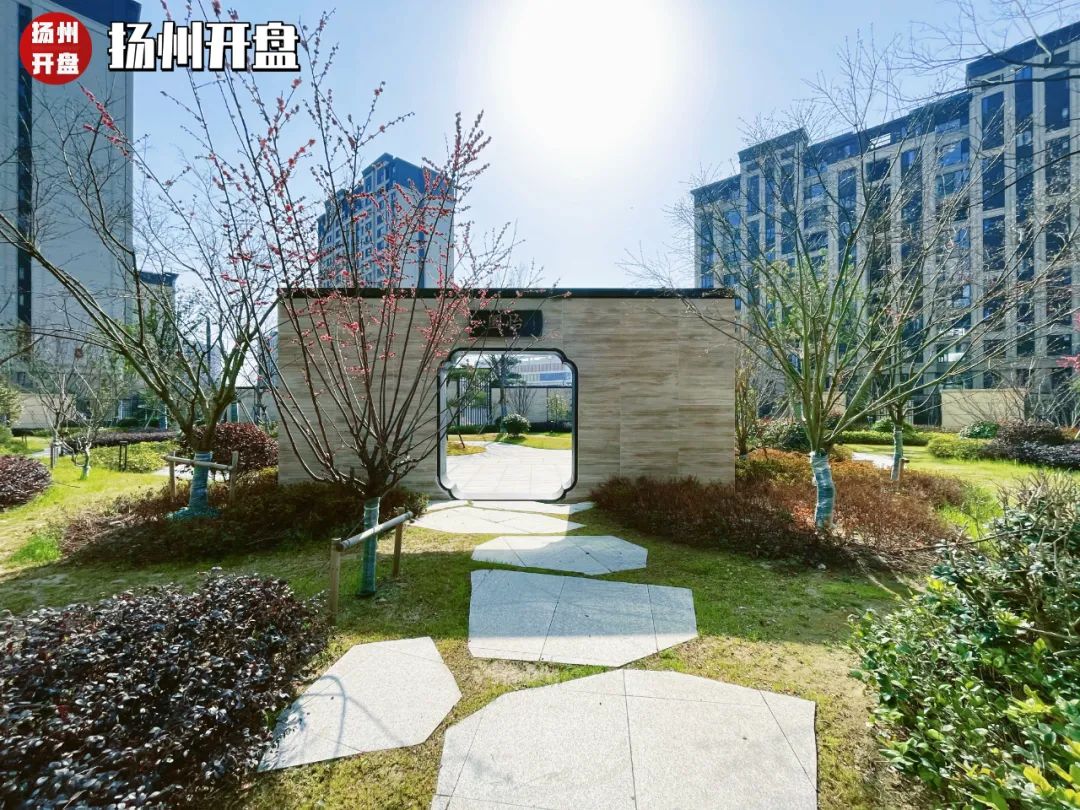 最高涨幅5000元,最高涨近3000%