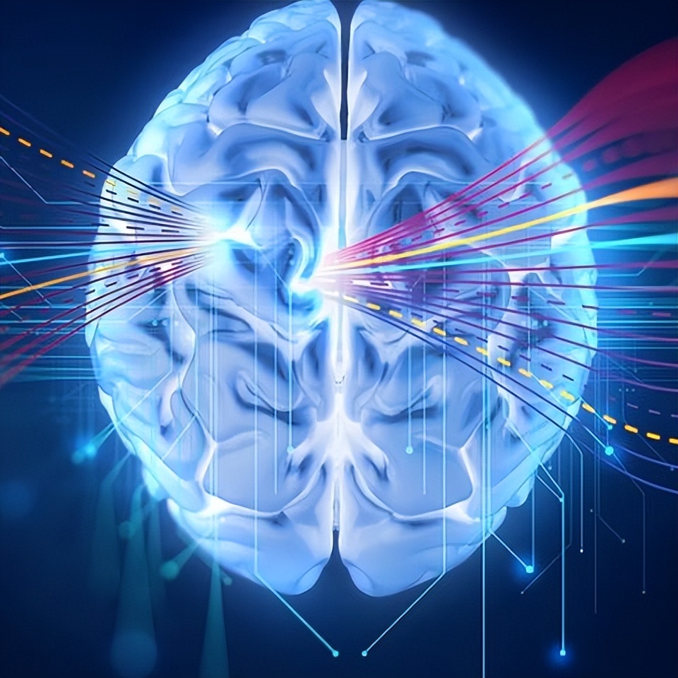 致死率近100%狂犬病为何如此恐怖,科普篇狂犬病到底有多可怕