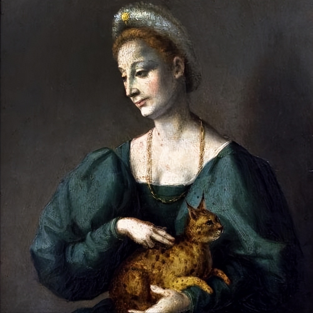 不同品种猫在中国古代的地位,古代的猫和现在的猫有什么区别