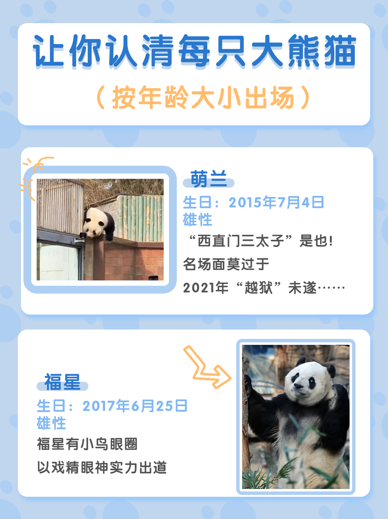 北京动物园游玩攻略路线图,游览北京动物园需要提前购票吗
