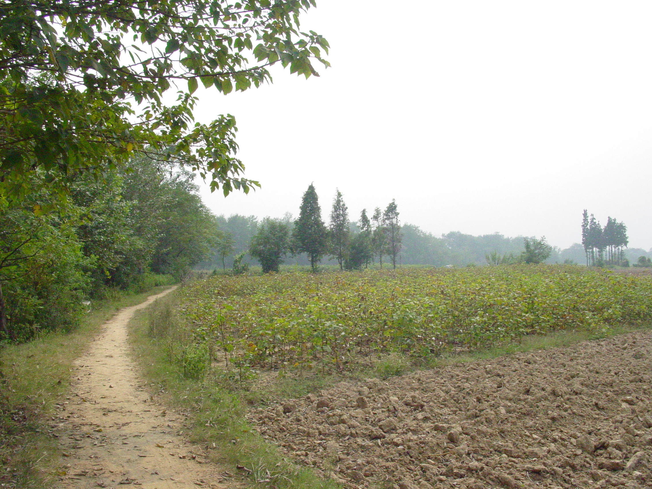 一个厚脸皮不要脸的人,一个自卑的学生
