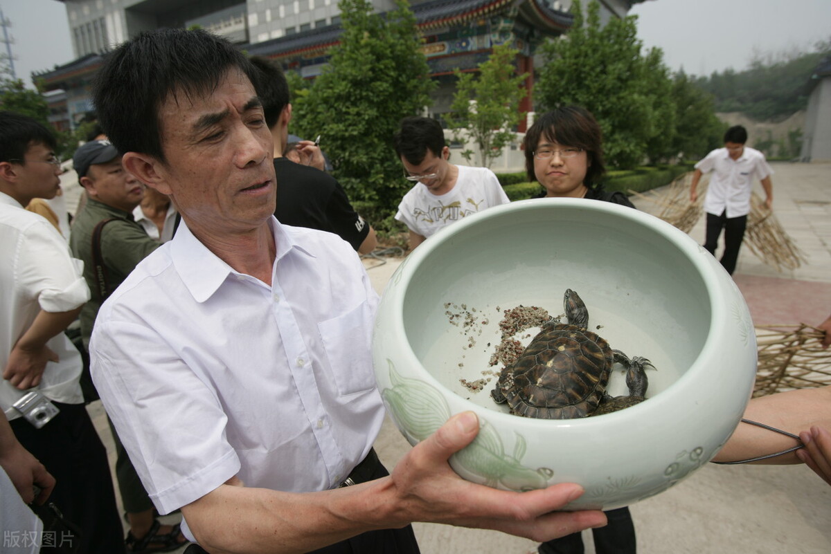 季羡林故居被盗案宣判,季羡林文物被盗审判视频